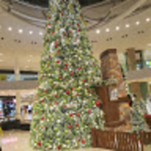 Meet your Posher, Annie